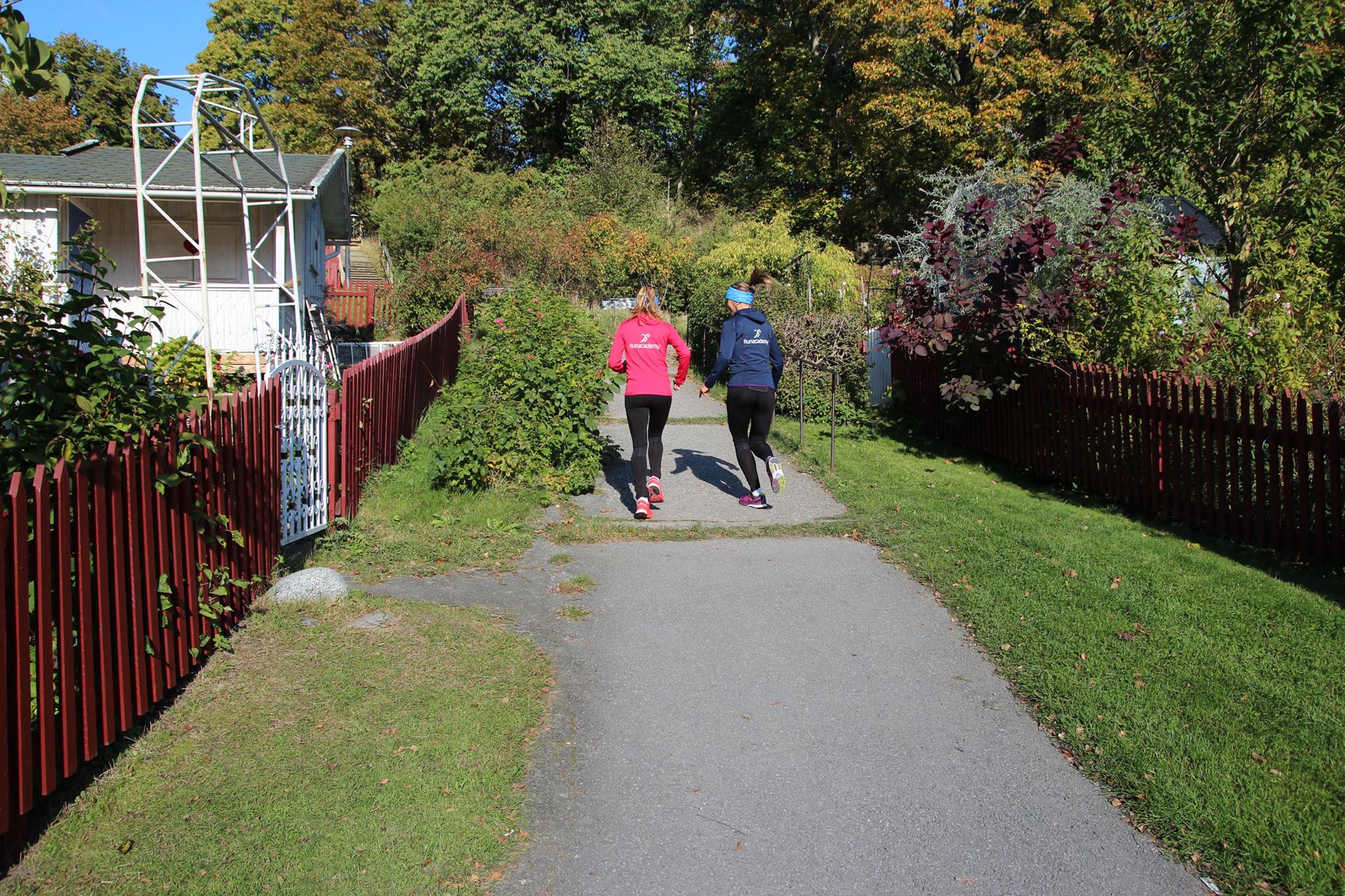 12052516_10100356444714936_7252865119023591705_o