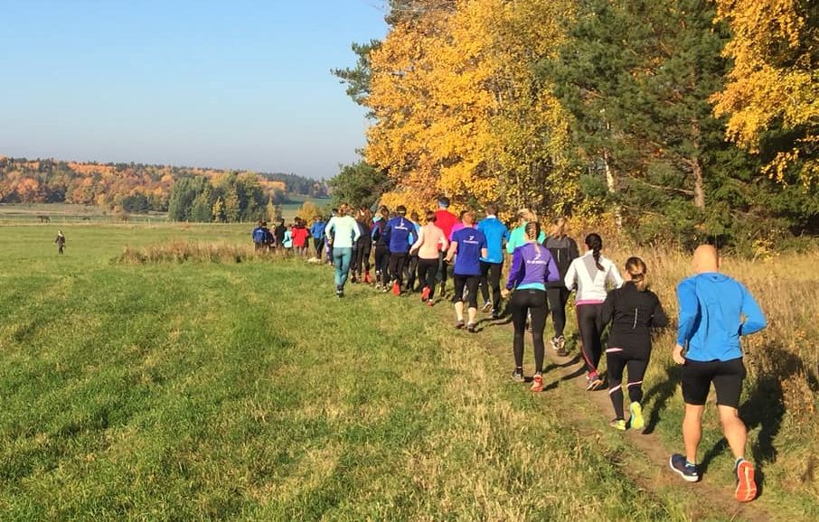 En grupp löpare springer tillsammans i höstväder