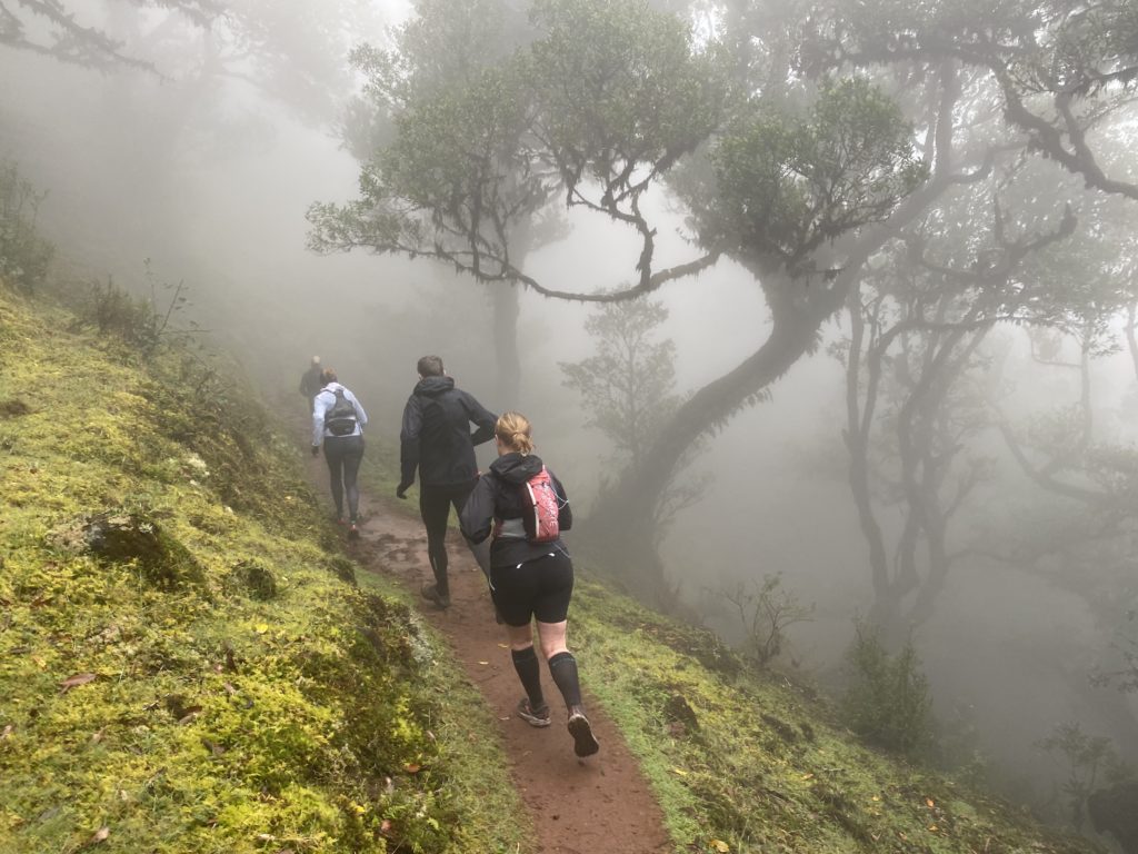 Löpning i Fanal, Madeira